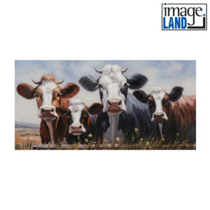Imageland Bild Milky four