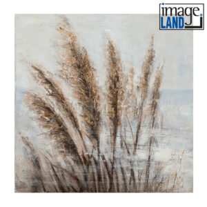 Imageland Bild Goldenes Seegras im Wind