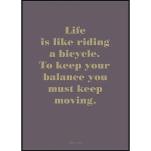 Bild Life Is Like