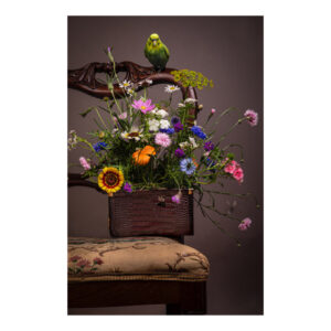 Bild Velvet Bird on a chair II