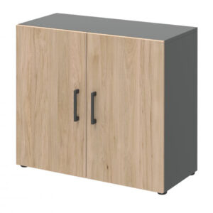 Röhr Bush Schrank HOME OFFICE Anthrazit